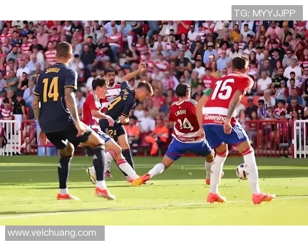 全球足球明星阵容全面解析与各位置选手精彩介绍